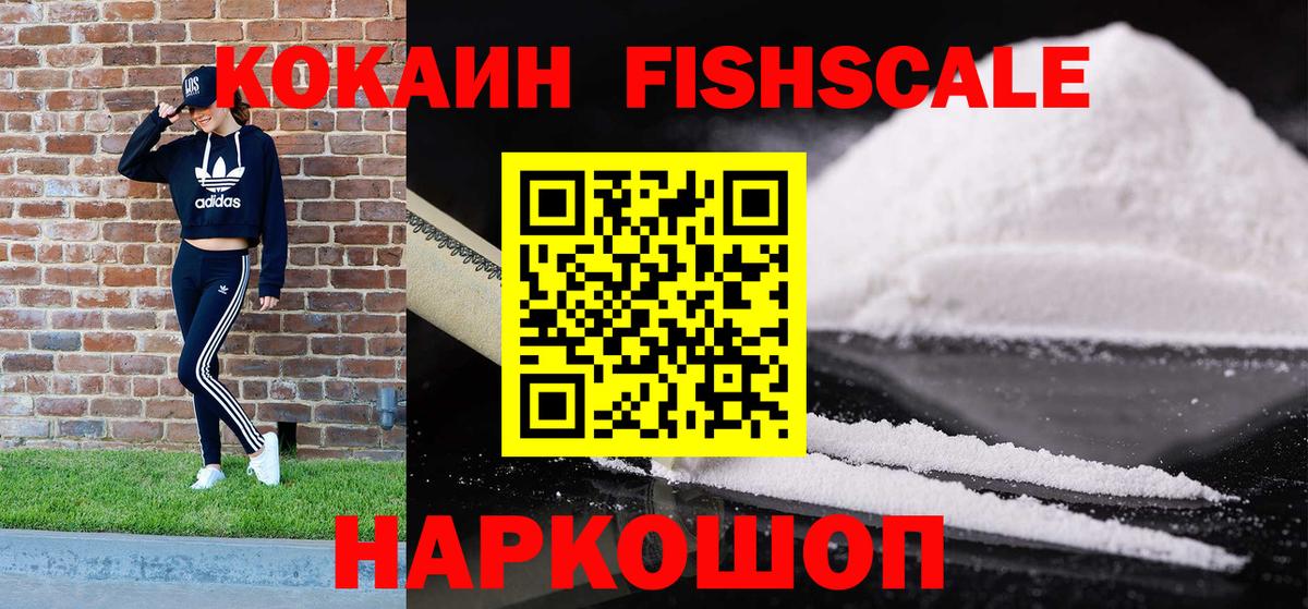 COCAIN Fish Scale  КОКАИН  Строитель  Вход с VPN 